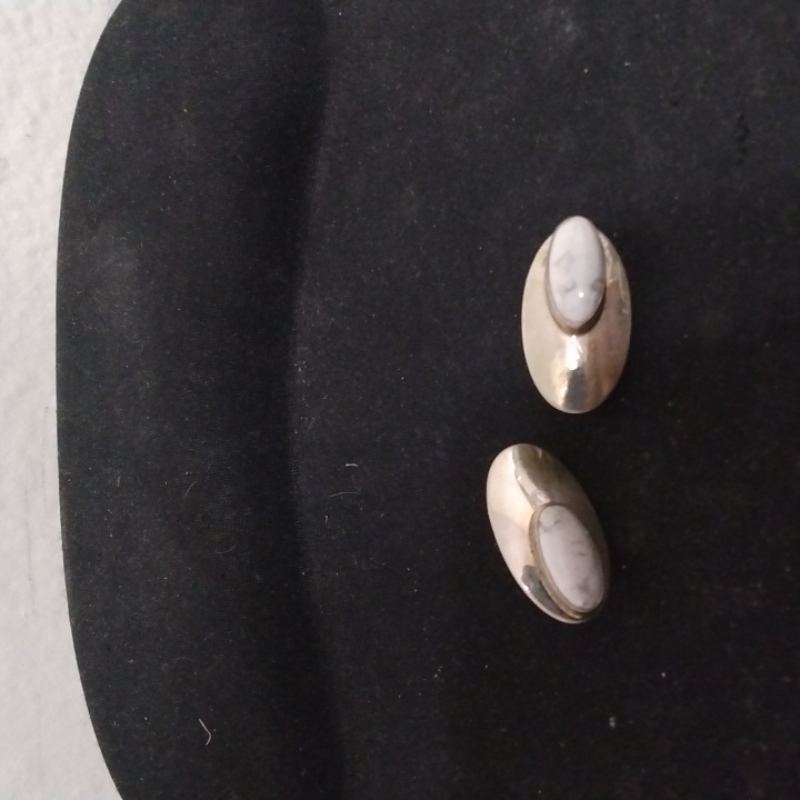 Native American Style Earrings
